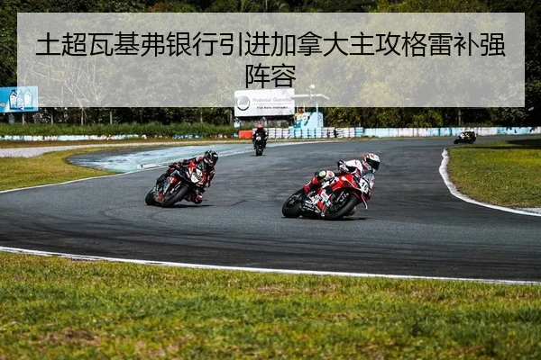 土超瓦基弗银行引进加拿大主攻格雷补强阵容